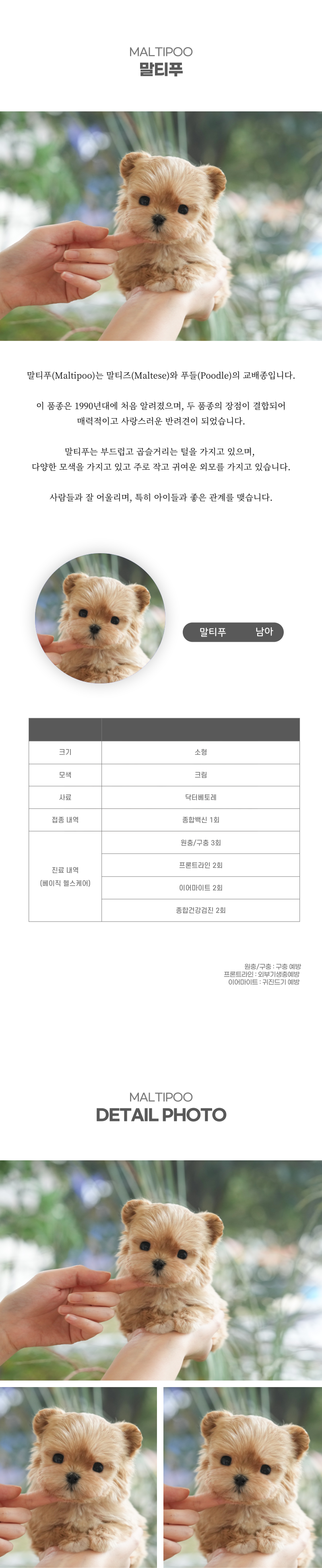 말티푸_상세이미지_2